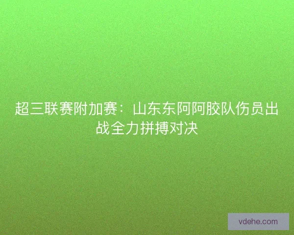 超三联赛附加赛：山东东阿阿胶队伤员出战全力拼搏对决